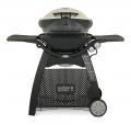 WEBER Q-3200 LP GAS GRILL (D)